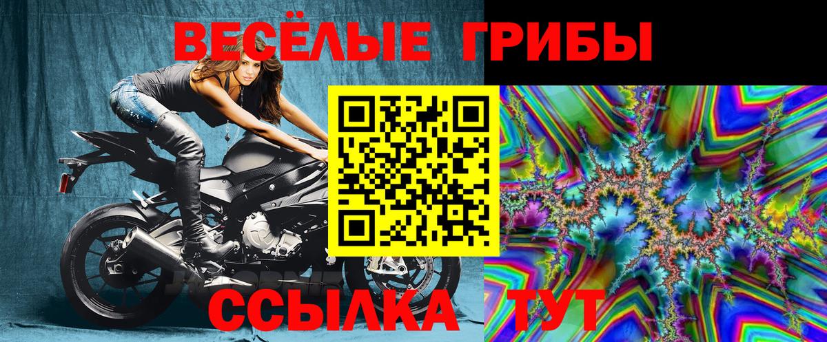 Псилоцибиновые грибы Psilocybine cubensis  Вход с VPN  Тула 